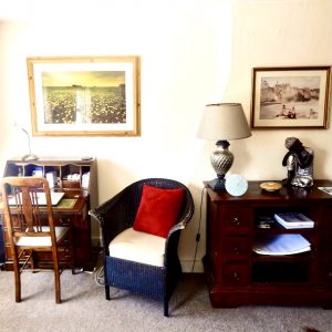 Newbury Room 1 (Zebra)