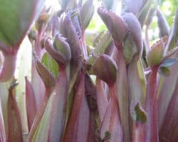 How To Be A Bad Therapist