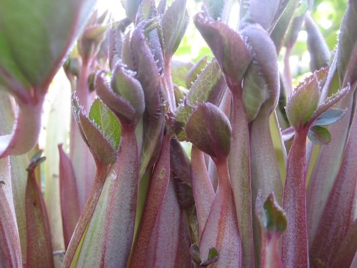 How to be a bad therapist